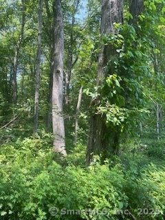 6 Grouse Lane