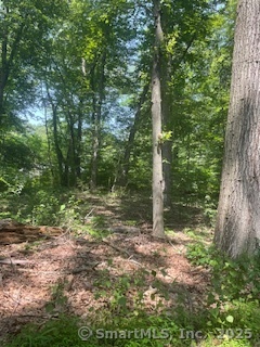 6 Grouse Lane