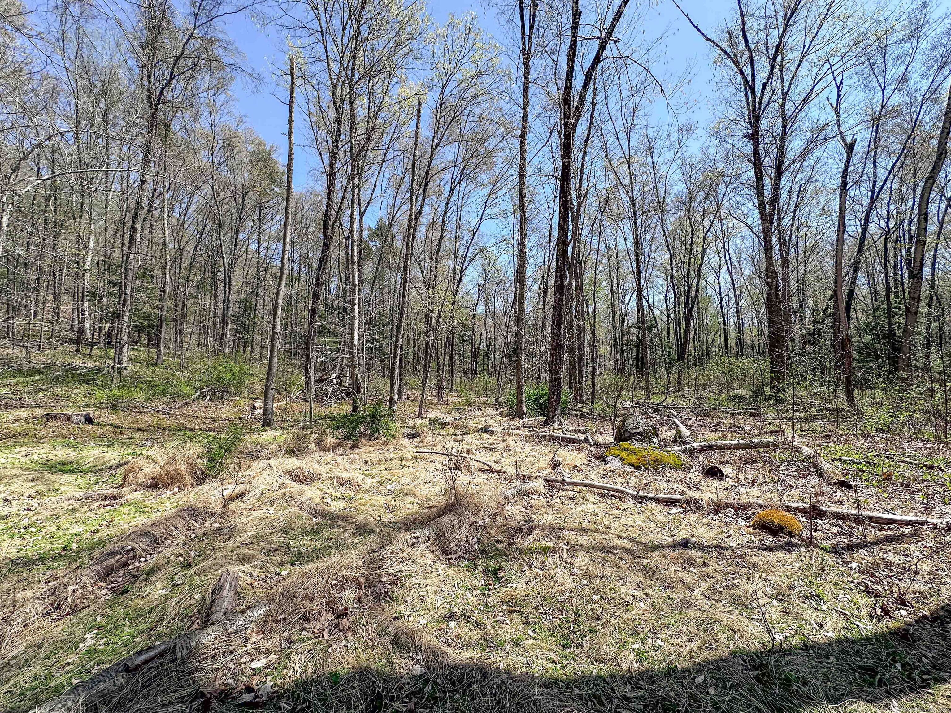 Abbey Road Extension, East Hampton, Connecticut image 15