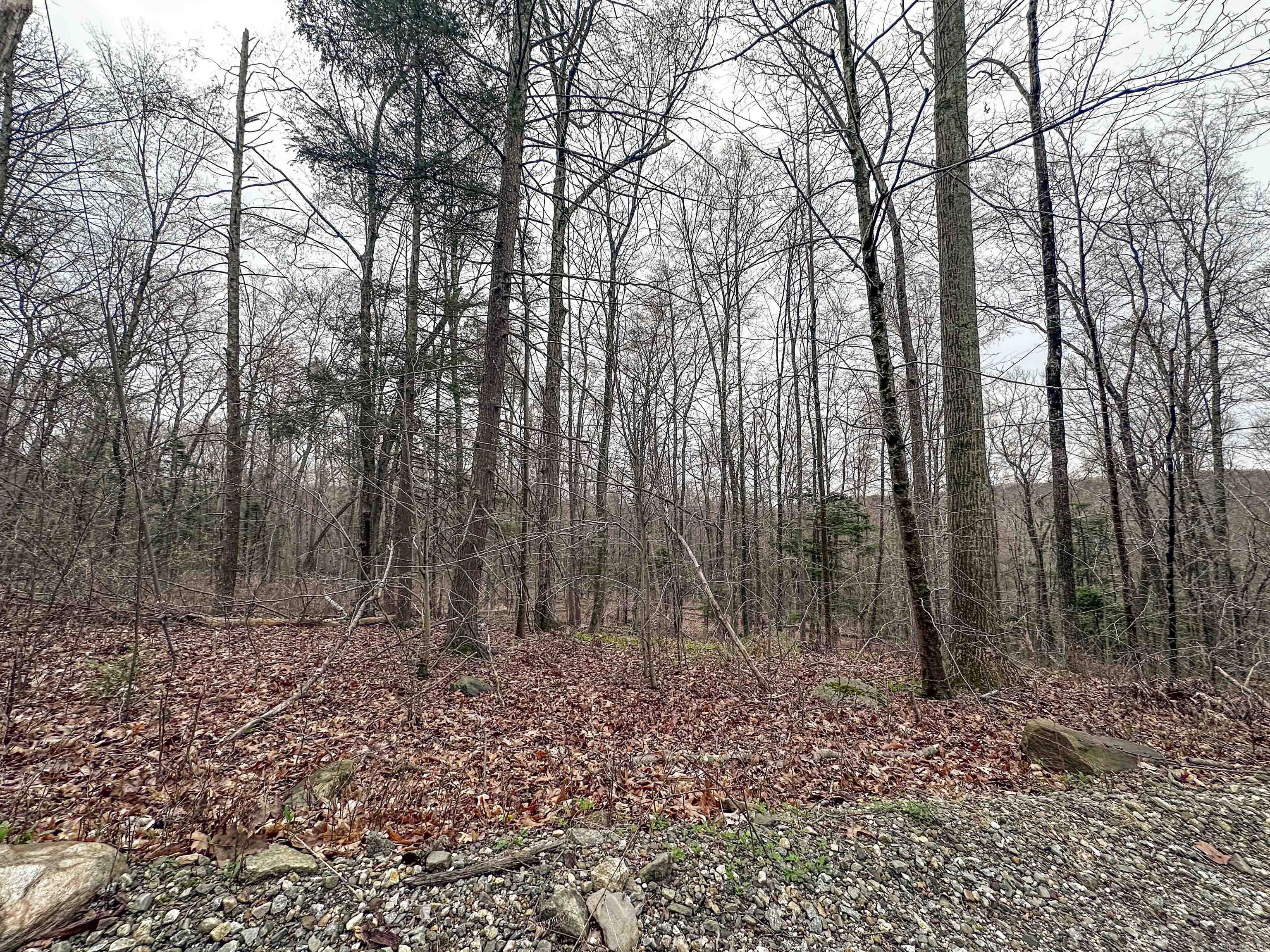 Abbey Road Extension, East Hampton, Connecticut image 4