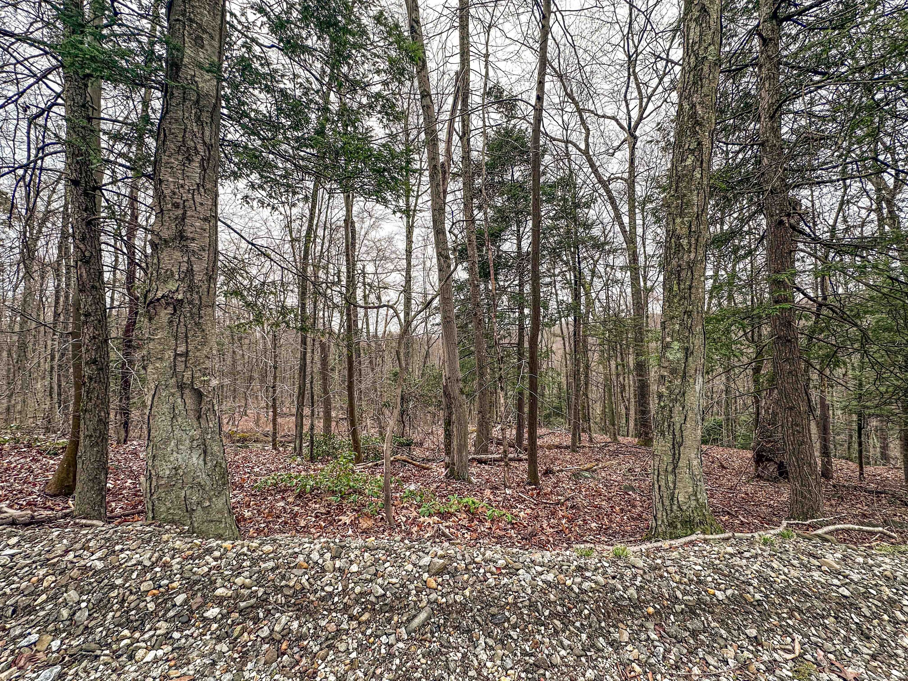 Abbey Road Extension, East Hampton, Connecticut image 5