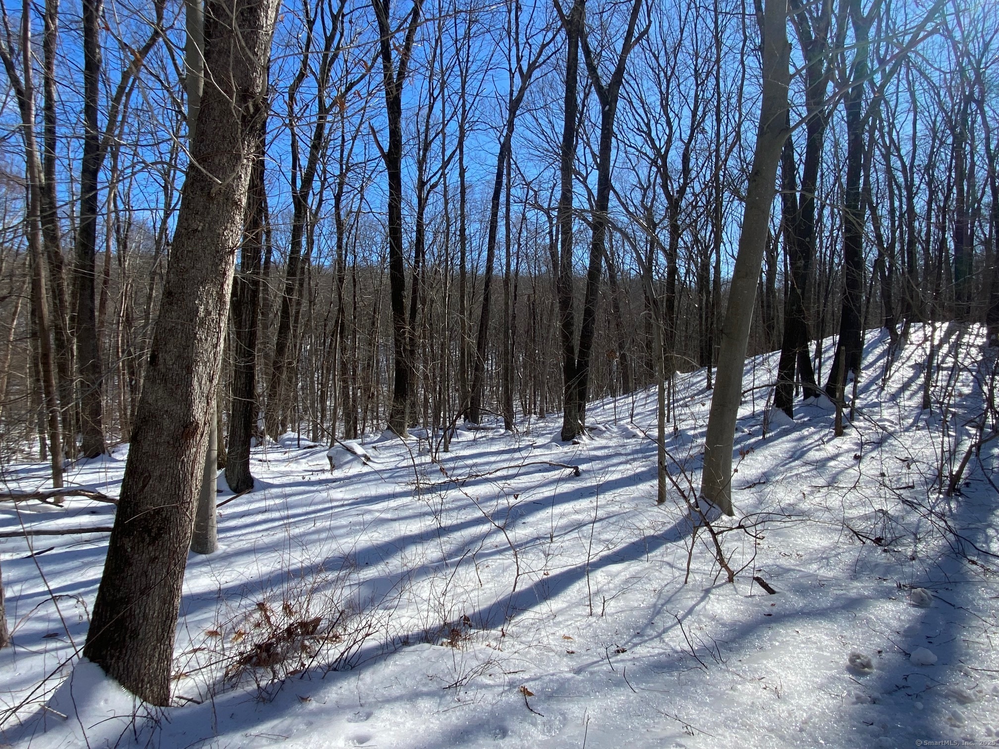 Larkey Road, Oxford, Connecticut image 36