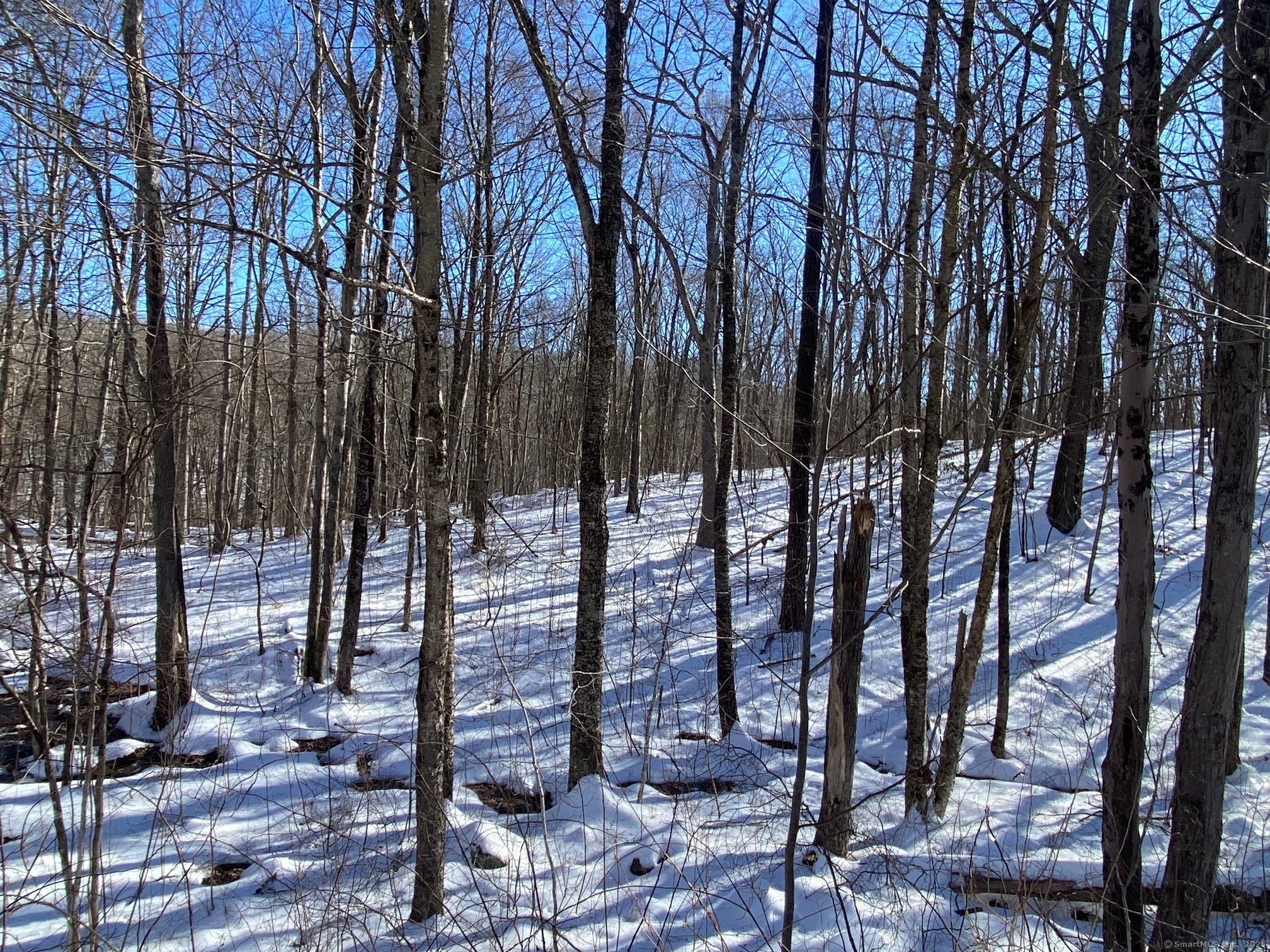 Larkey Road, Oxford, Connecticut image 32