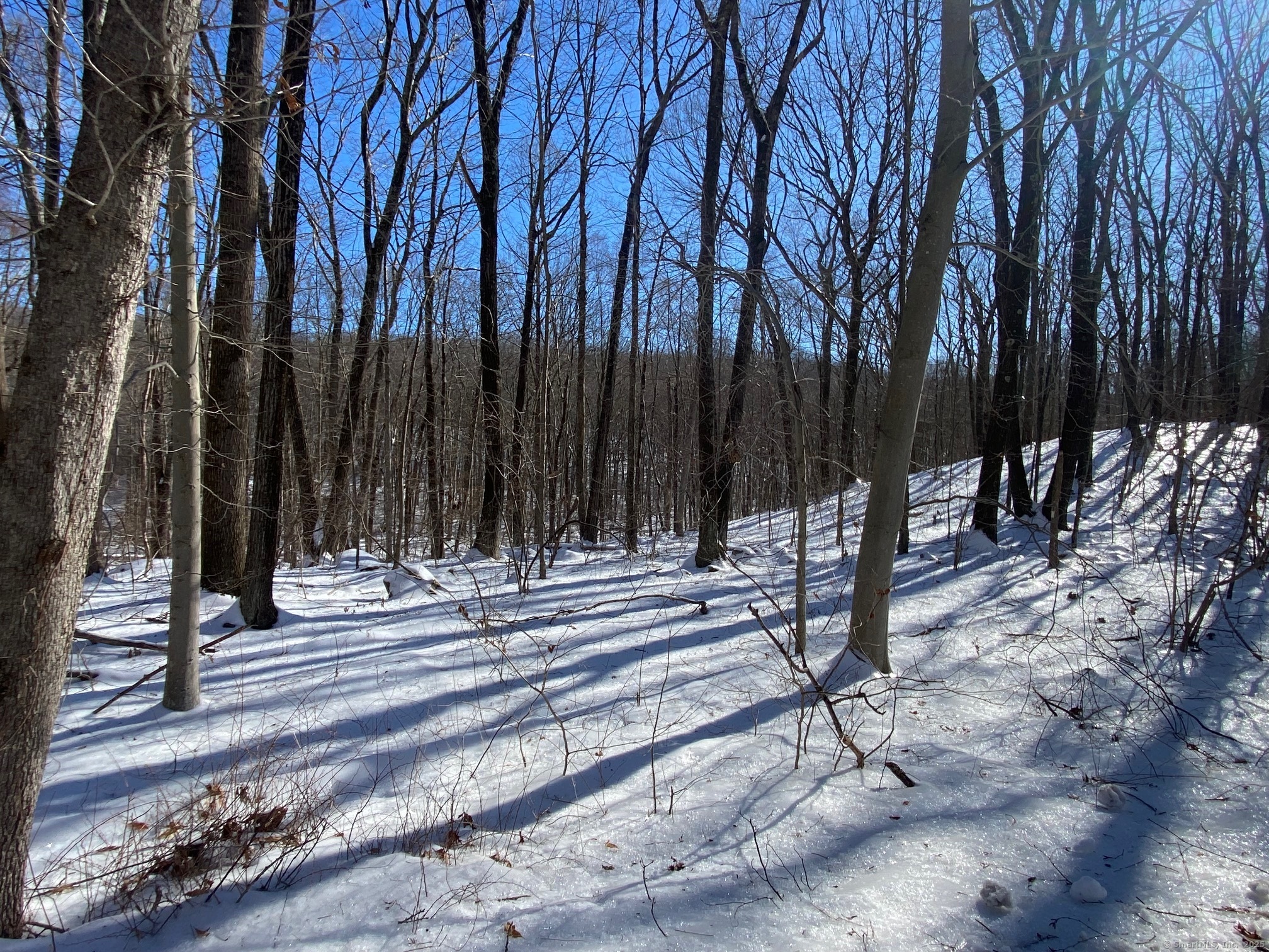 Larkey Road, Oxford, Connecticut image 37