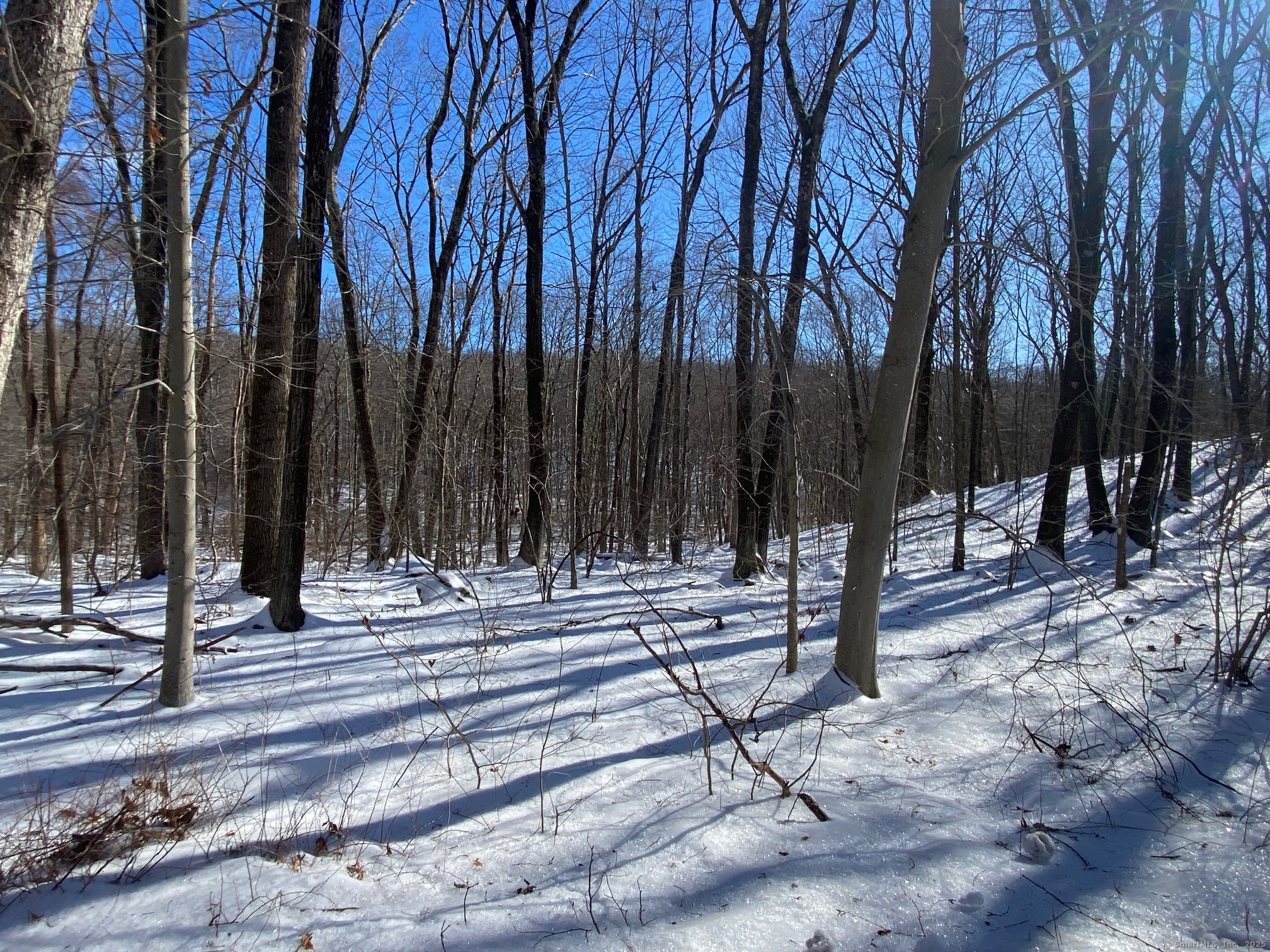 Larkey Road, Oxford, Connecticut image 34