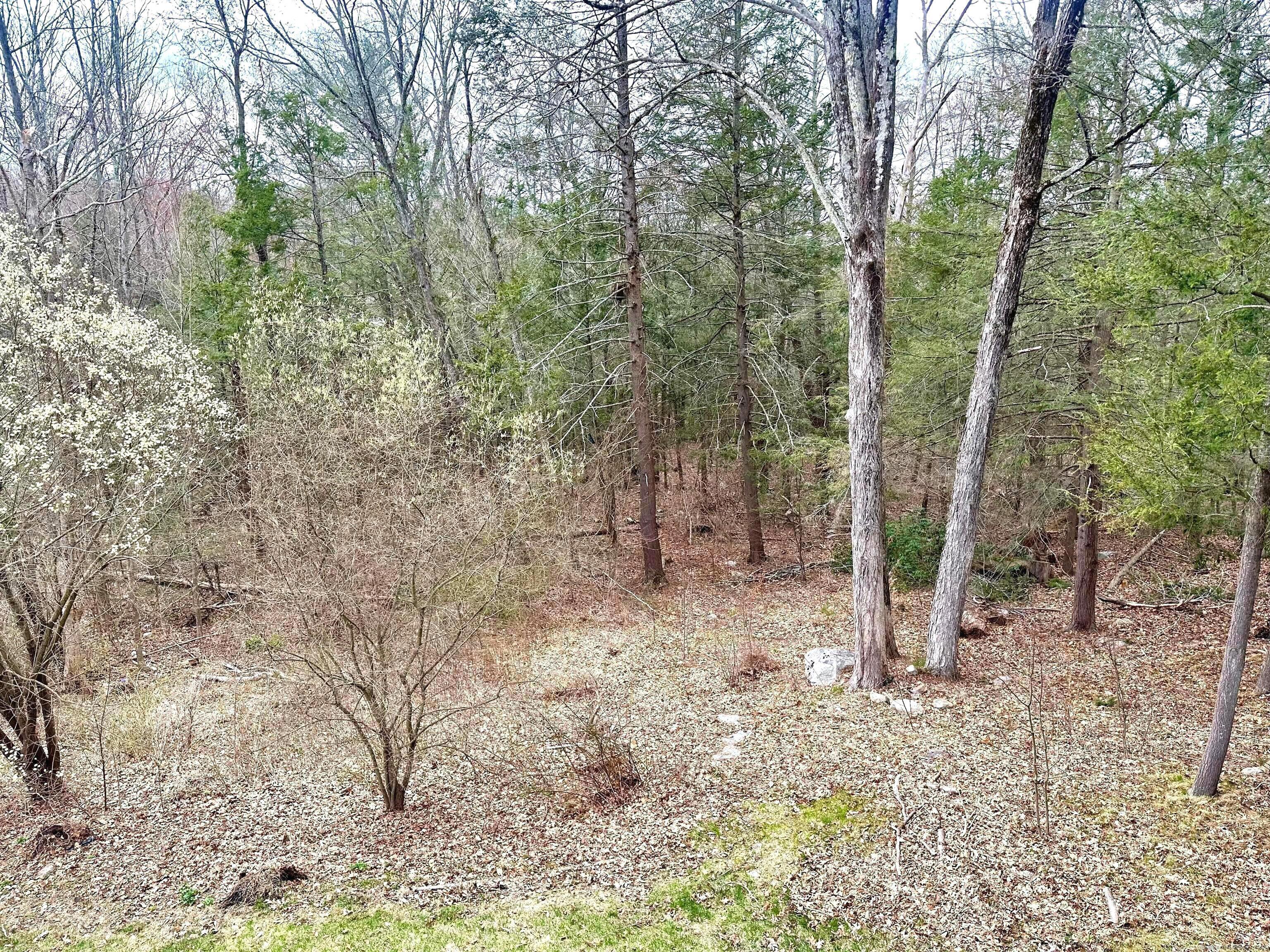 550 County Road, Torrington, Connecticut image 18