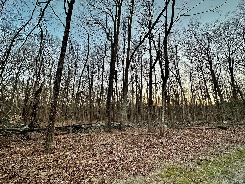 Levita Road, Lebanon, Connecticut image 2