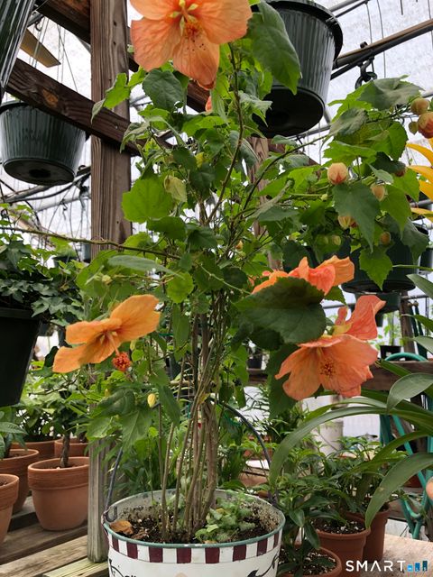 Tiny photo for 671 Rubber Avenue, Naugatuck, CT 06770 (MLS # 24155504)