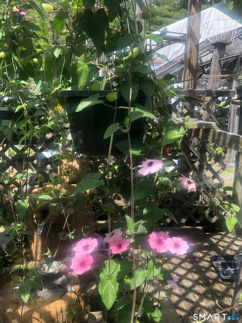 Tiny photo for 671 Rubber Avenue, Naugatuck, CT 06770 (MLS # 24155504)