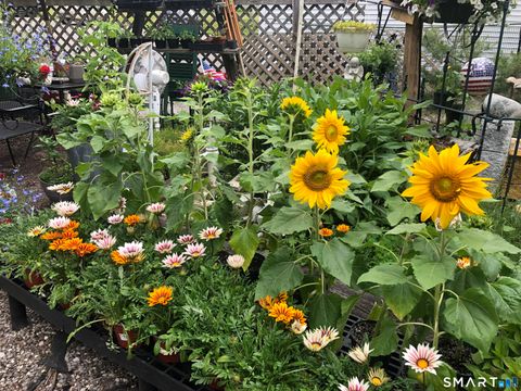 Tiny photo for 671 Rubber Avenue, Naugatuck, CT 06770 (MLS # 24155504)