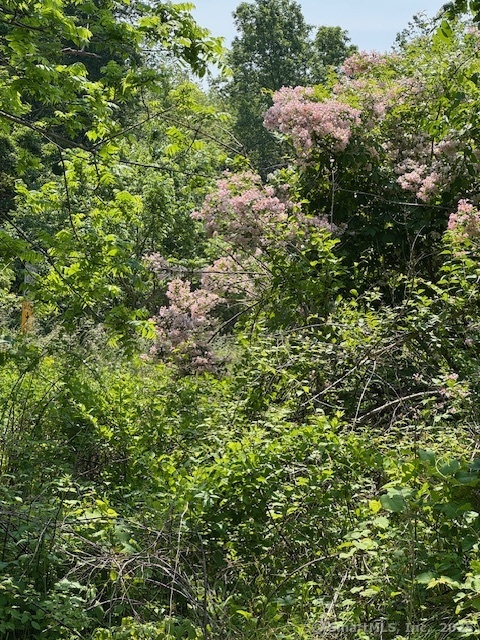 Freeman Road