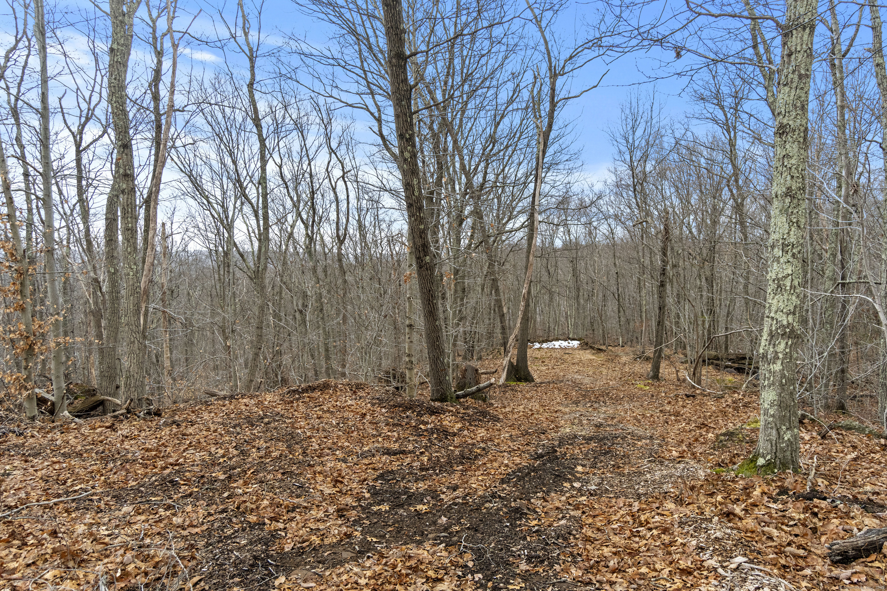 Round Hill Lot 17 Road, Middletown, Connecticut image 4