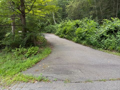 Vacant Land For Sale - Sally Burr Road<br/> Litchfield, CT 06759
