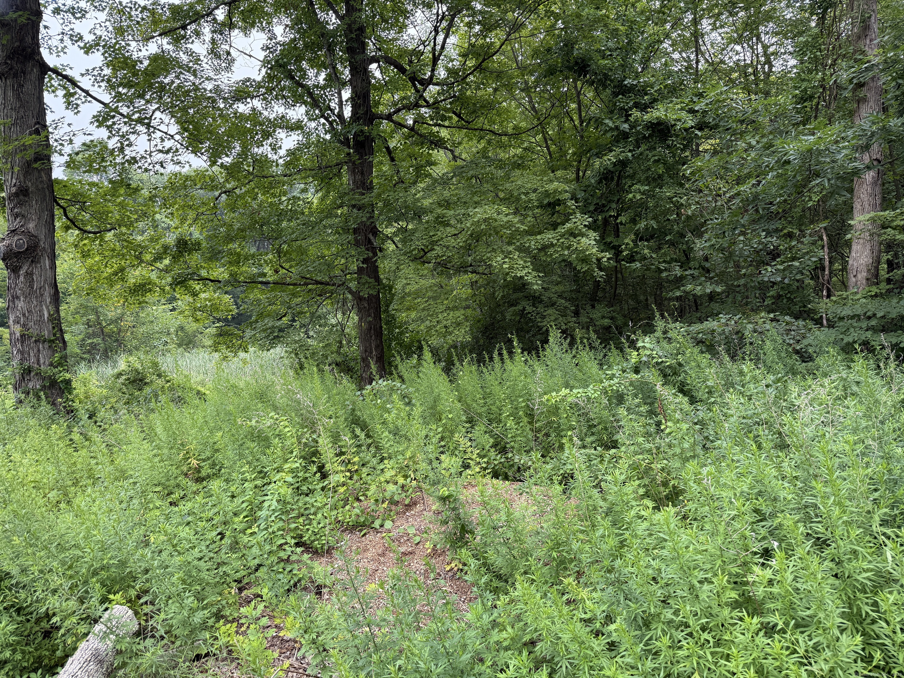 Sally Burr Road
