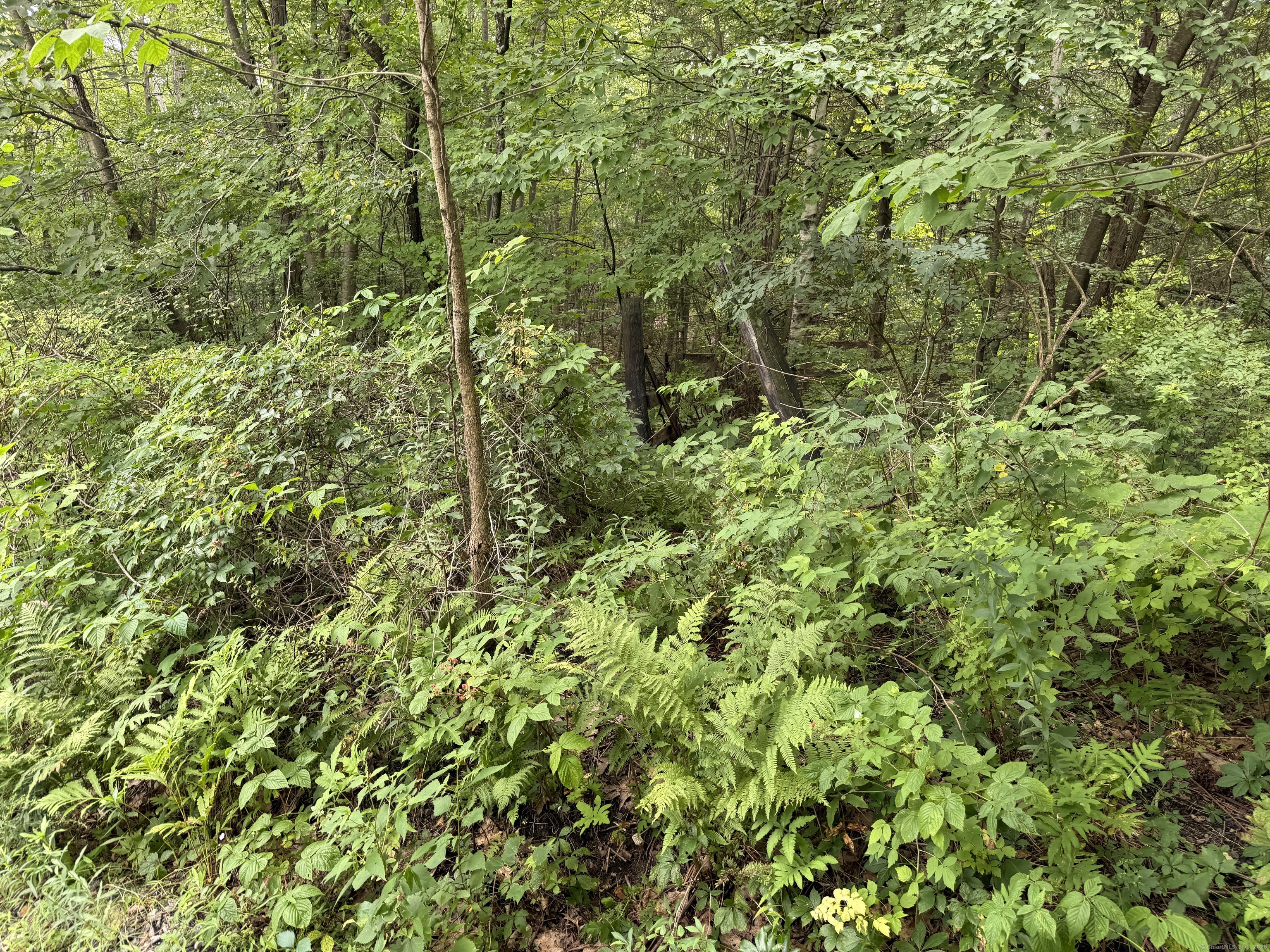 Sally Burr Road