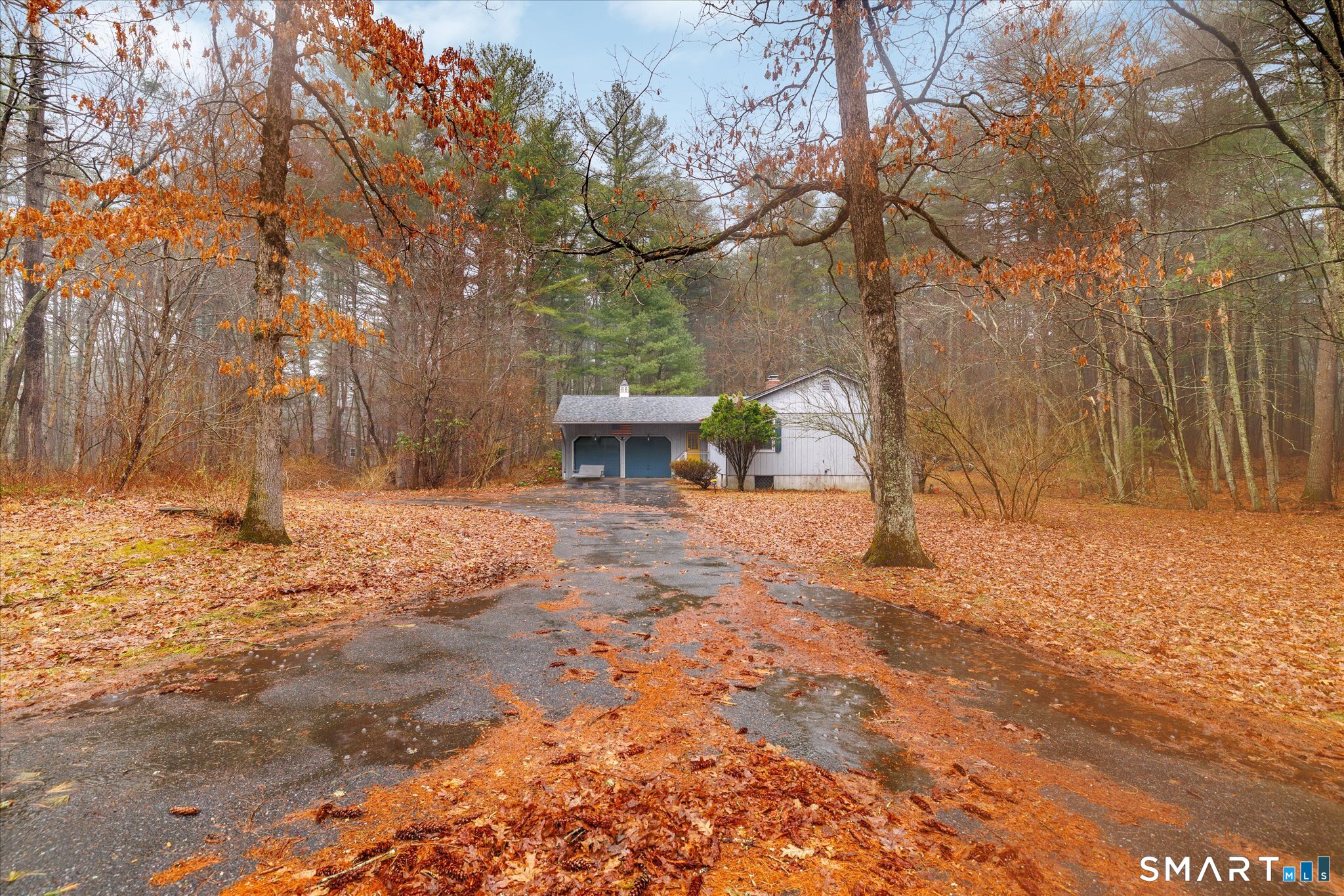 230 Bailey Woods Road