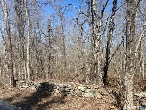 Vacant Land For Sale - Reilly Road<br/> Hampton, CT 06427