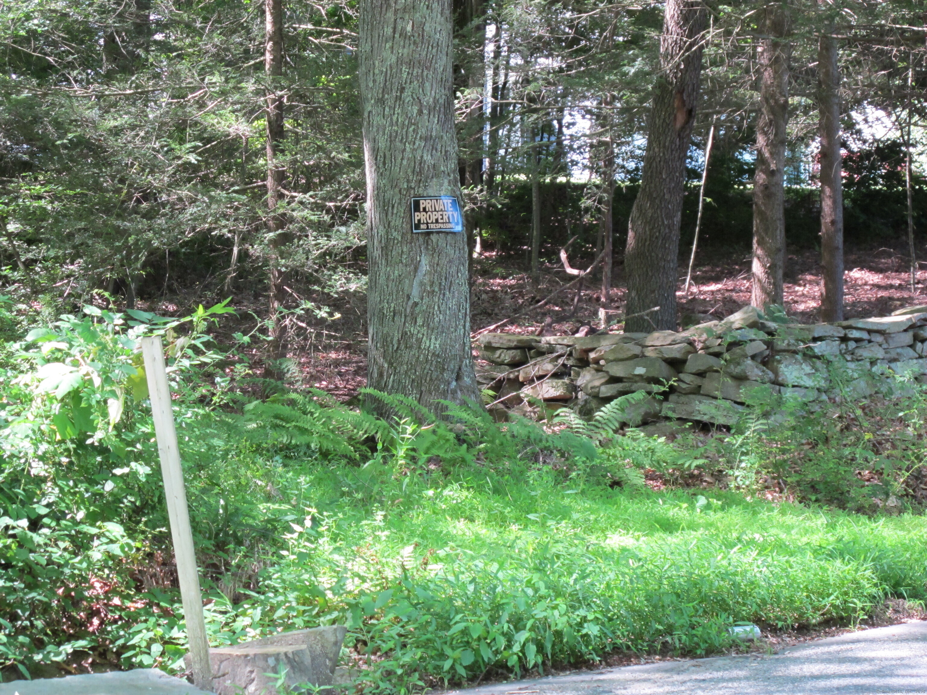 42 Lake Road