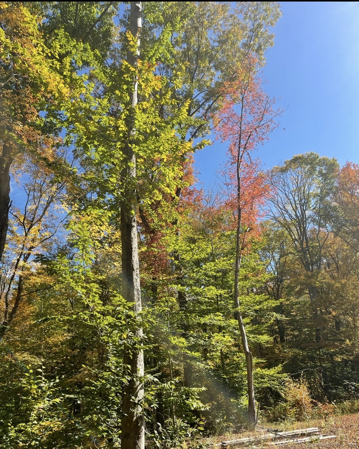 Property for Sale at S Brook Road Lot 4, Hampton, Connecticut -  - $95,000