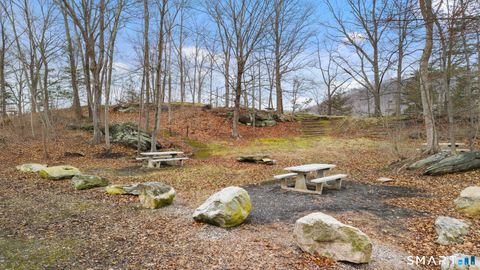 Tiny photo for 145 Sherry Lane, New Milford, CT 06776 (MLS # 24164001)