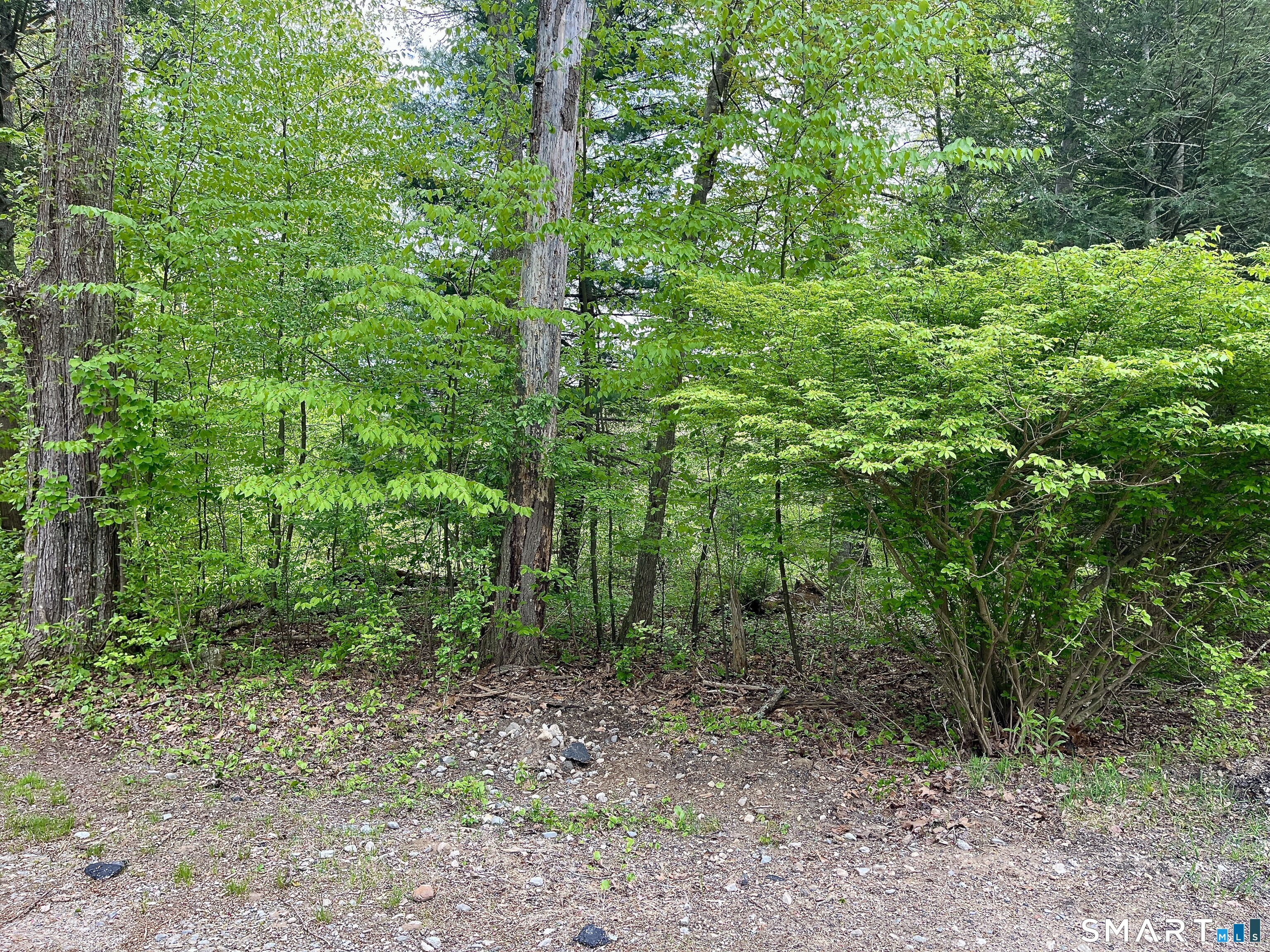 Meadow Brook Road