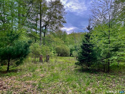 Vacant Land For Sale - Meadow Brook Road<br/> Tolland County, Hebron, CT 06231