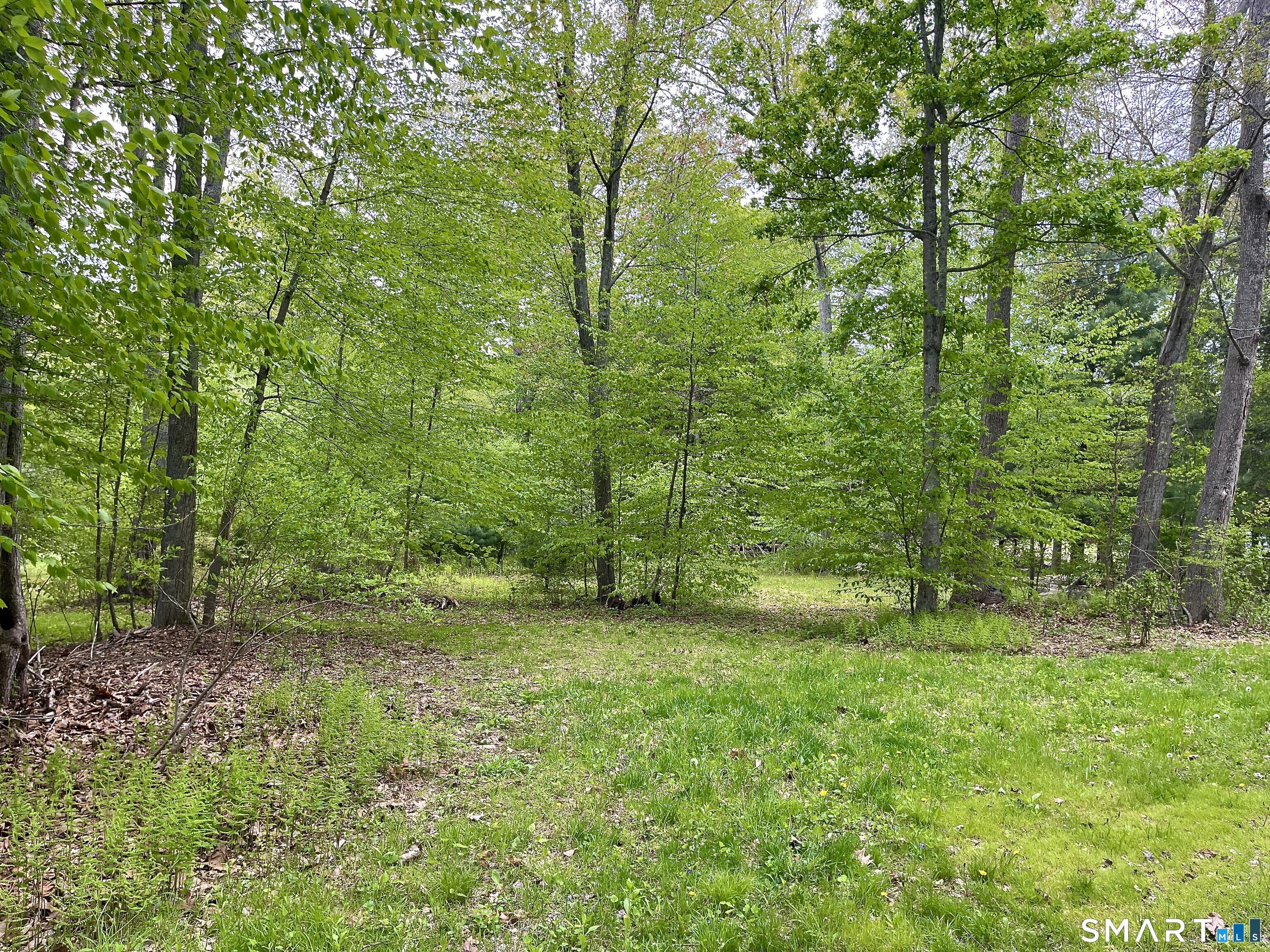 Meadow Brook Road