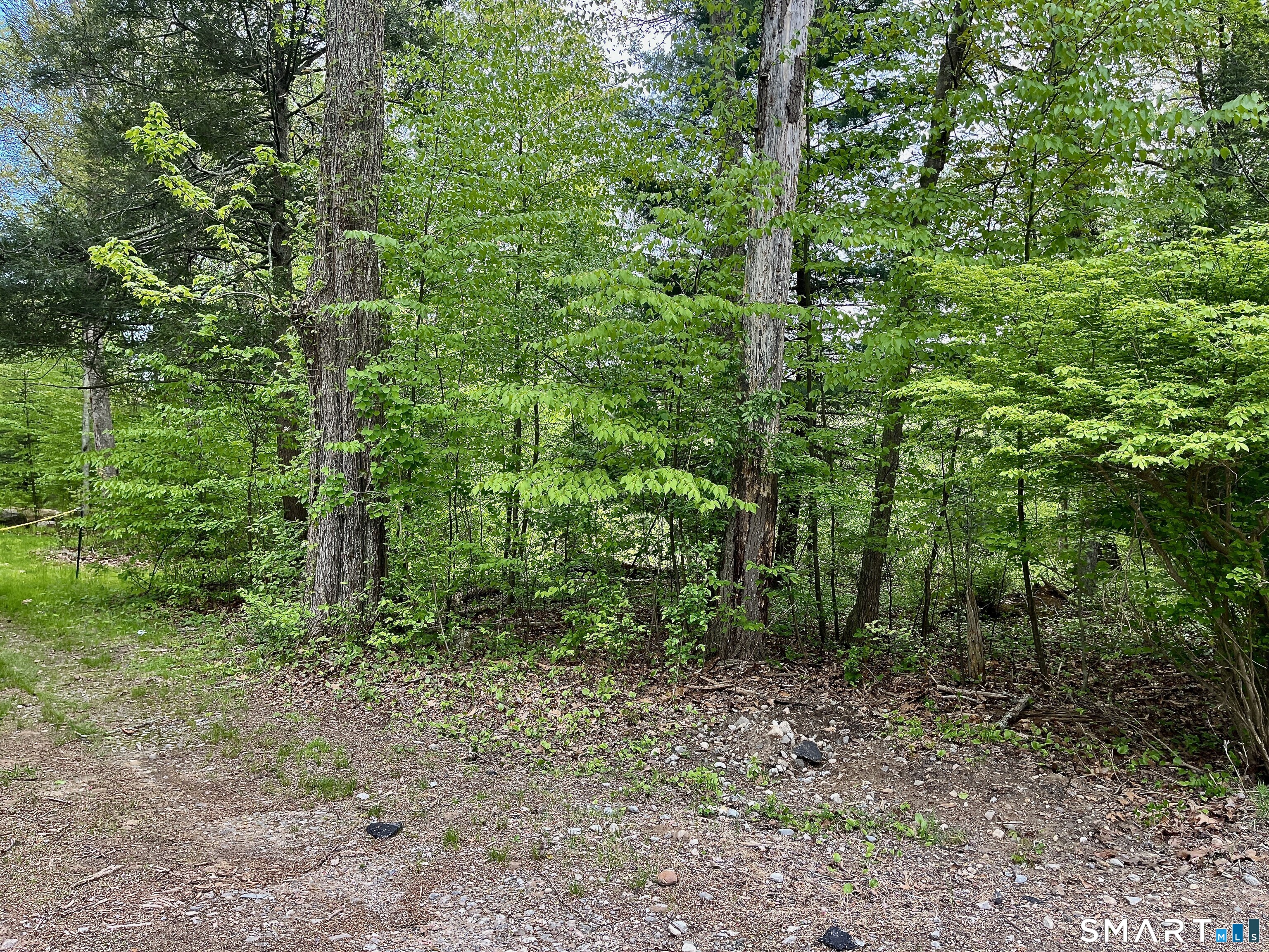 Meadow Brook Road
