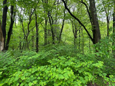 Photo of 66 Union City Road, Prospect, CT 06712 (MLS # 24095321)