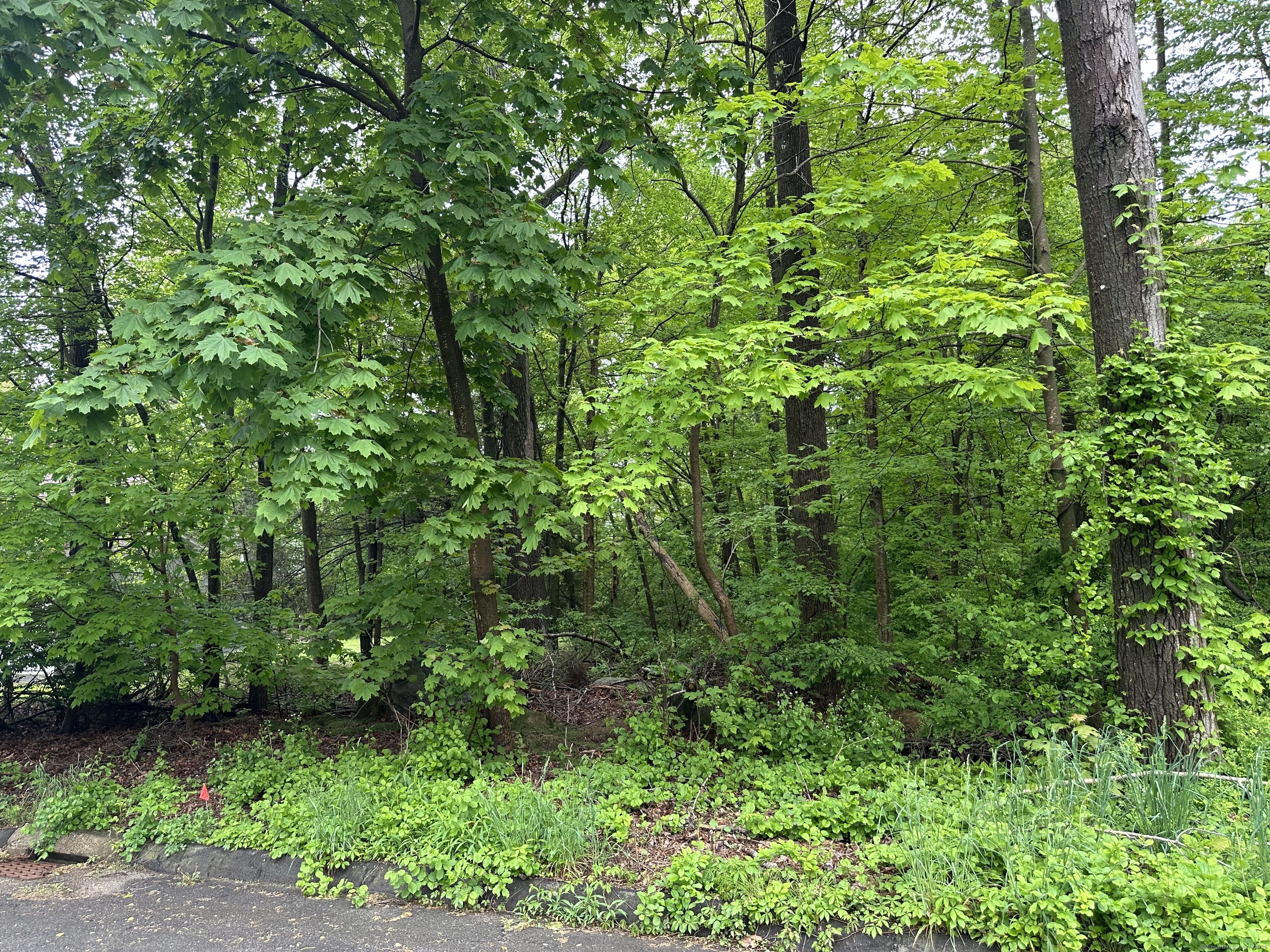 66 Union City Road, Prospect, Connecticut image 4