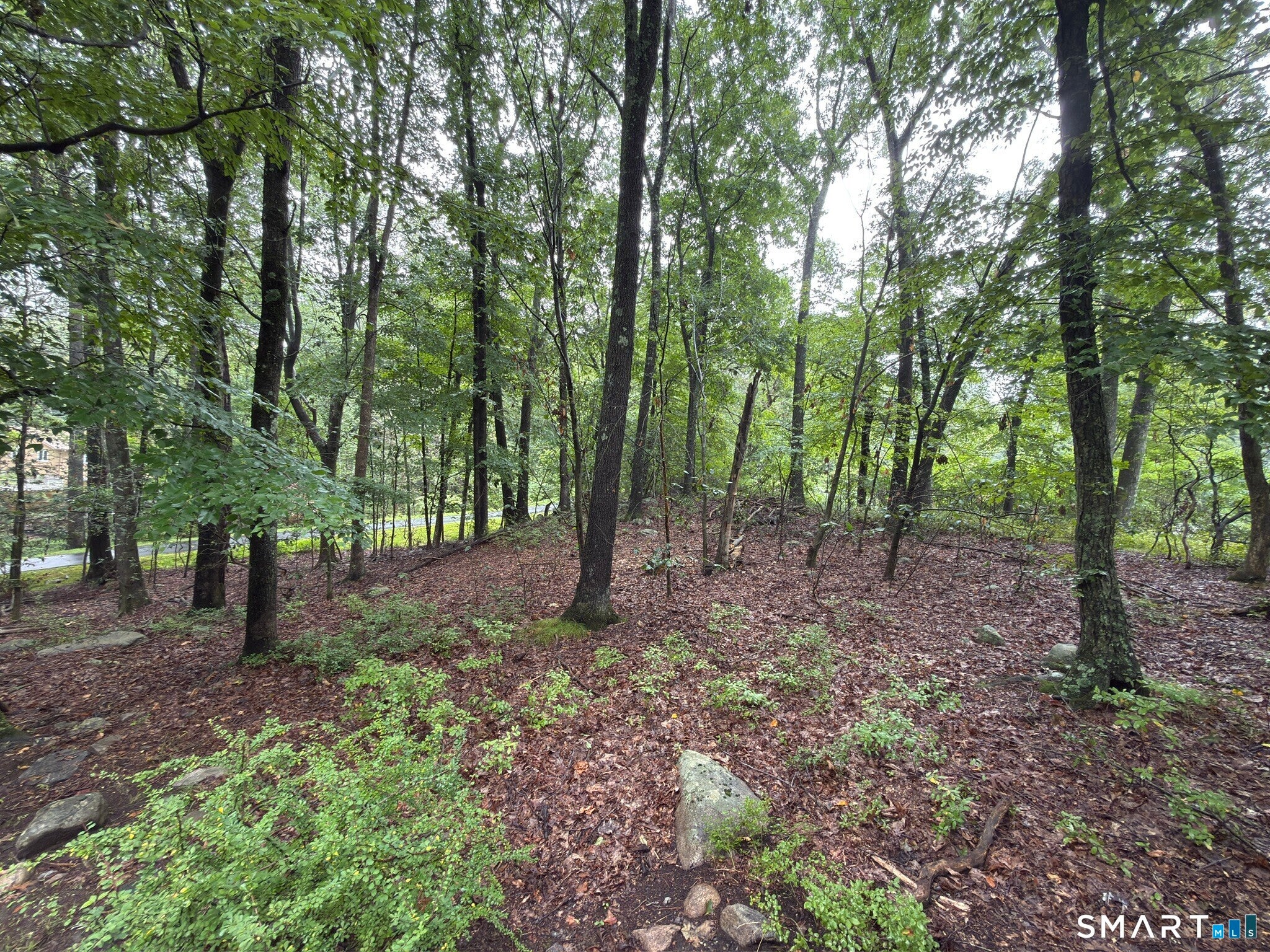 354 Good Hill Road