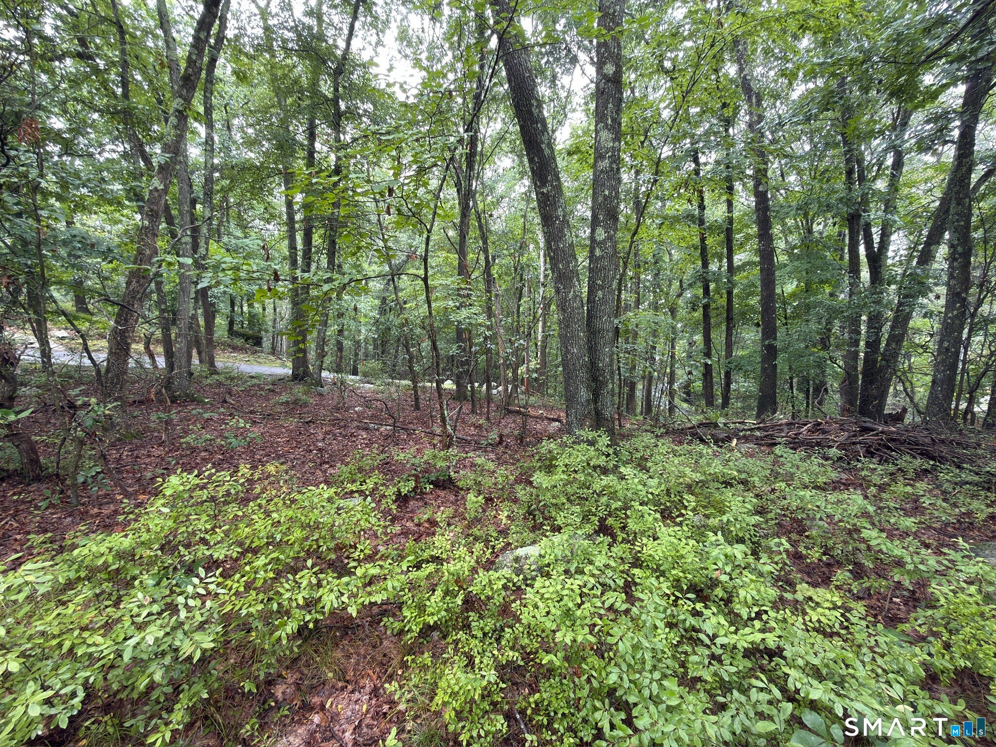 354 Good Hill Road