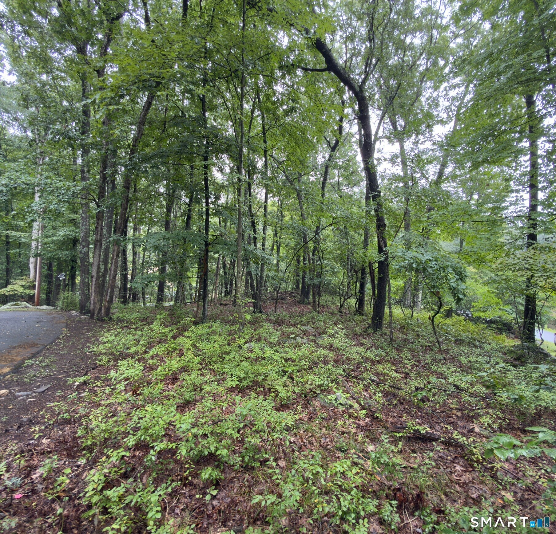 354 Good Hill Road