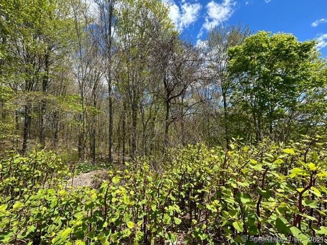 Westledge Terrace Lot 19, Torrington, Connecticut -  - 