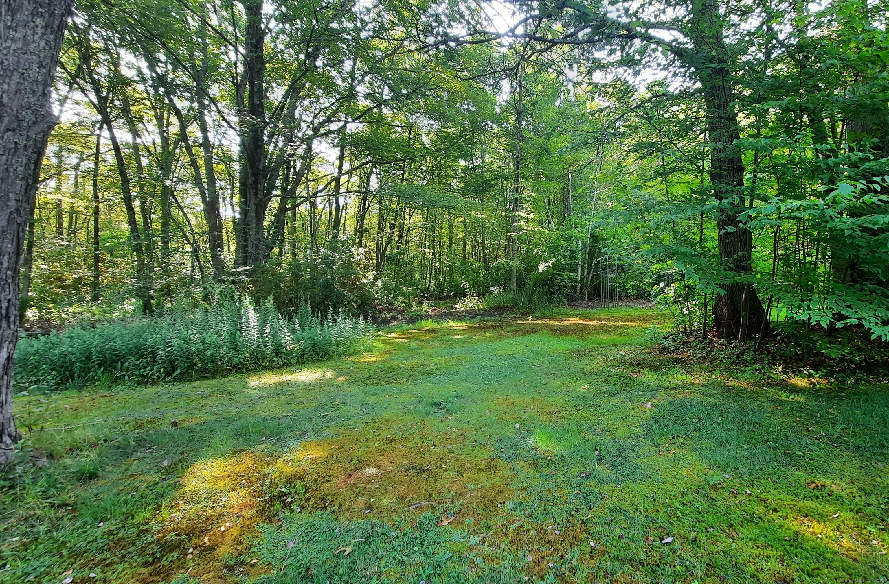 256 Pine Hill Road