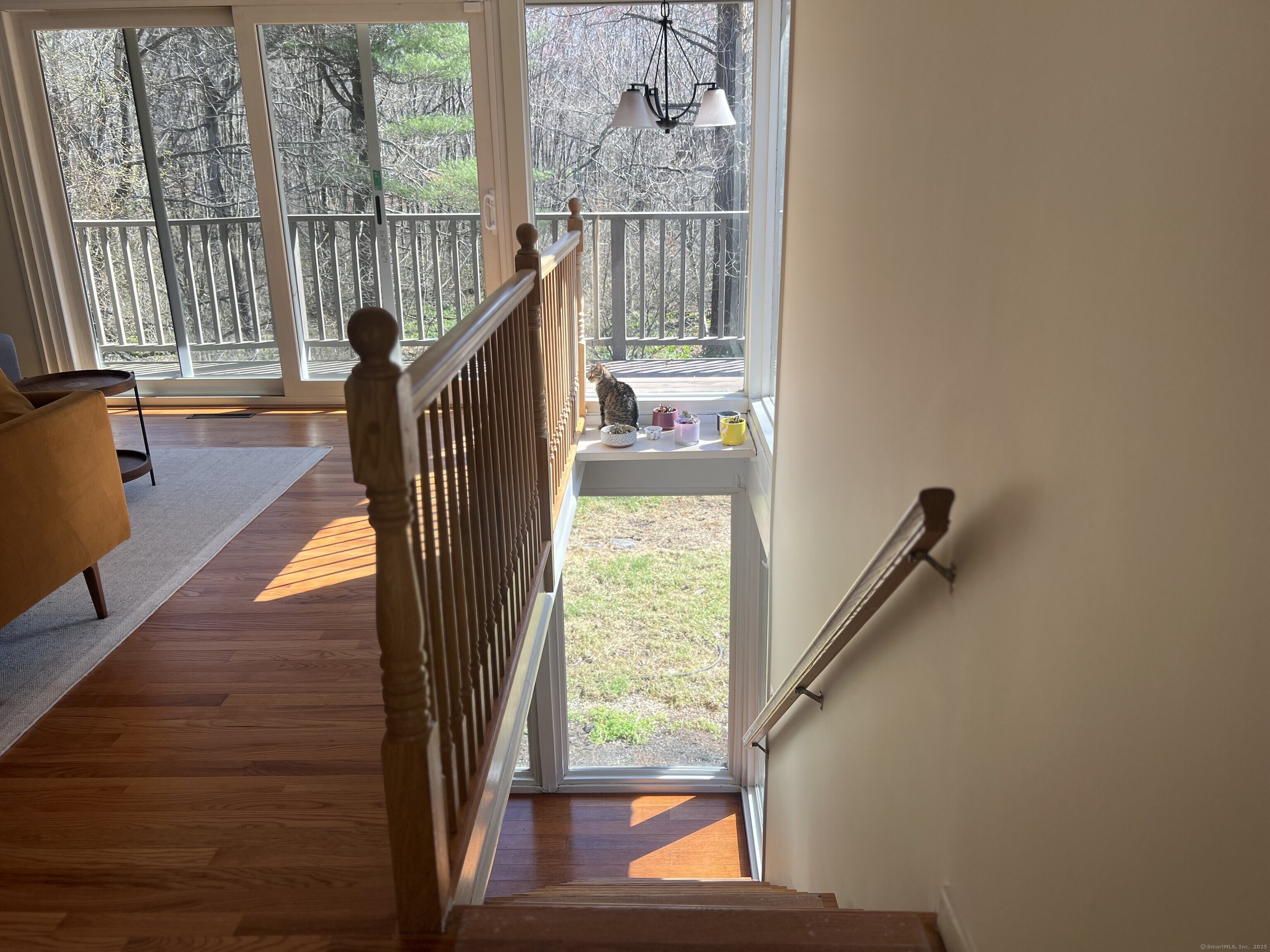 12 Fox Road, Trumbull, Connecticut image 11