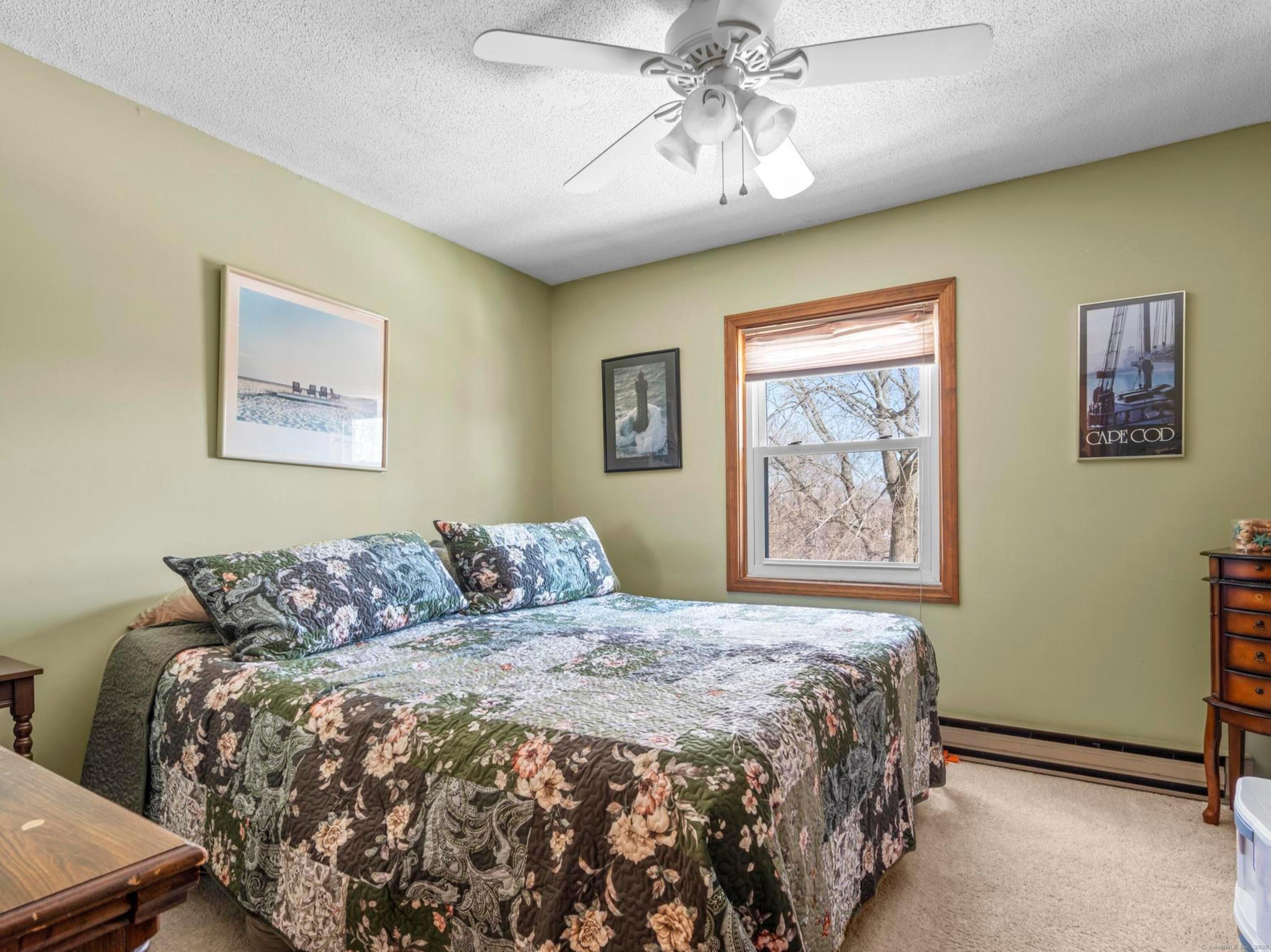 145 Geddes Terrace, Waterbury, Connecticut image 21