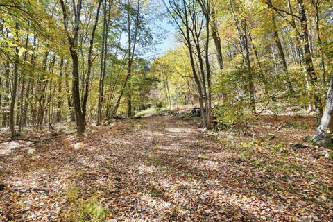 Tiny photo for 2 Coburn Road W, Sherman, CT 06784 (MLS # 24133934)