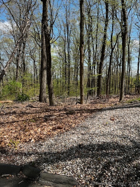 View West Hartford, CT 06117 property