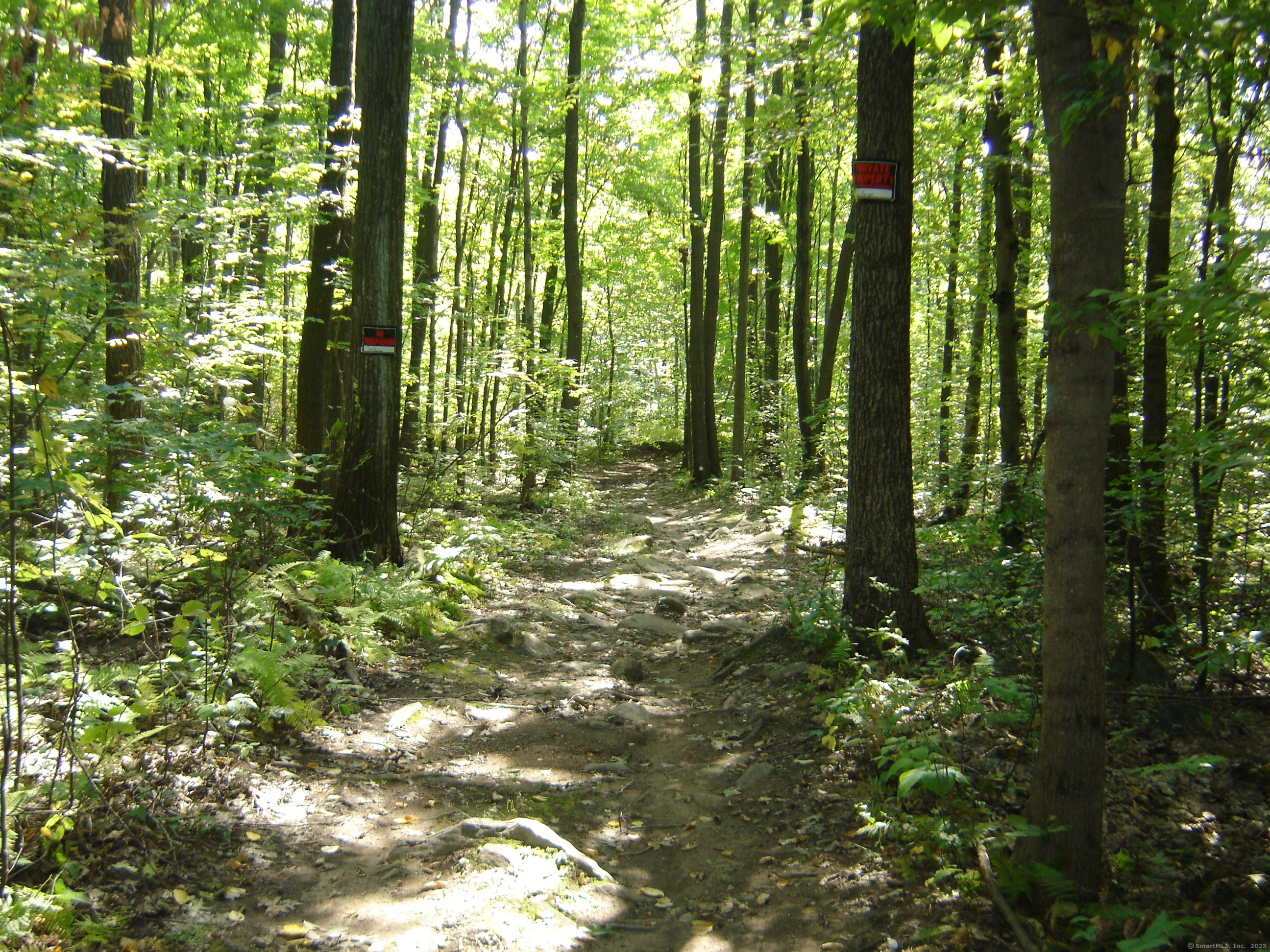 Porter Road, Ellington, Connecticut image 6