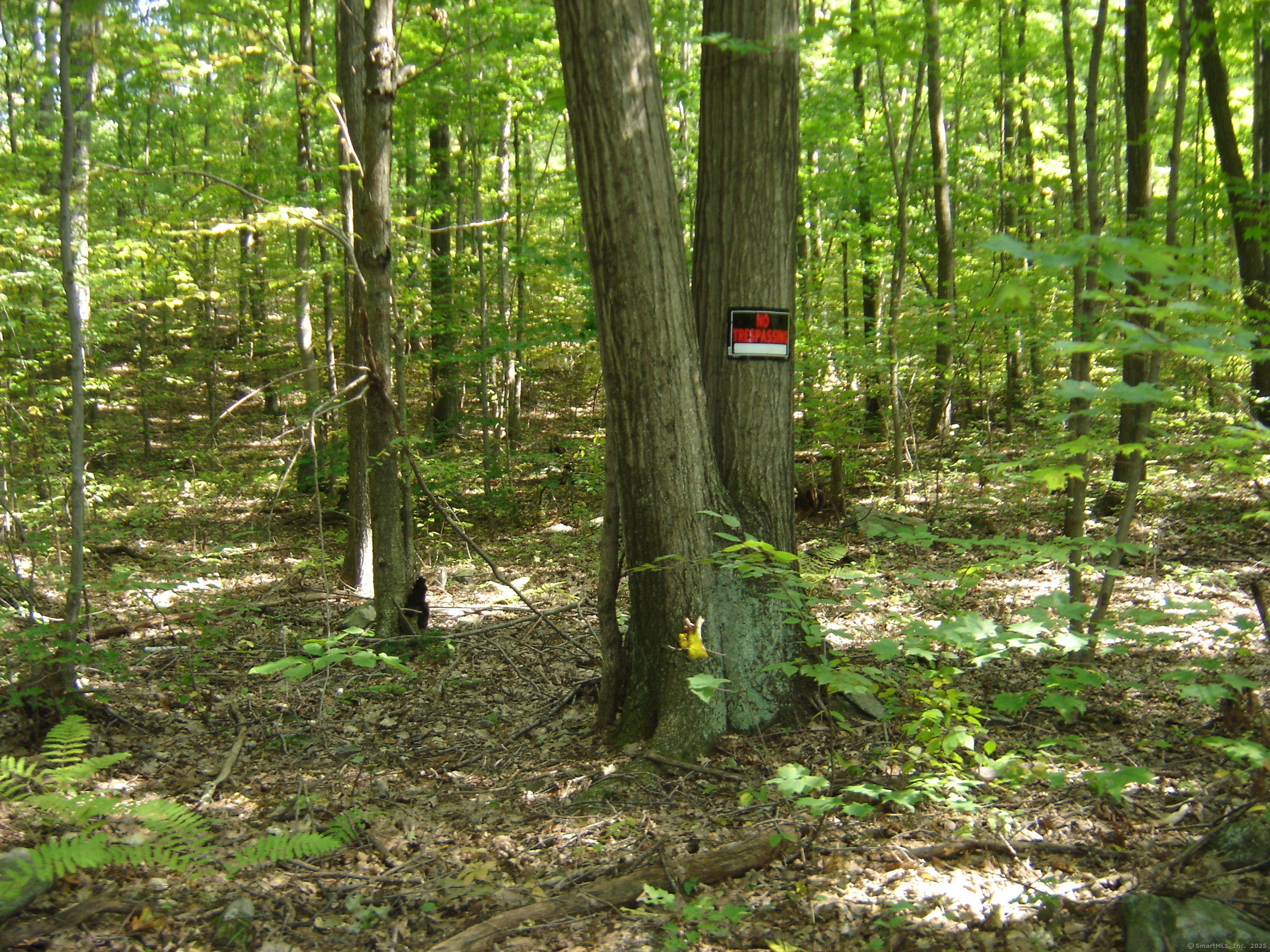 Porter Road, Ellington, Connecticut image 5
