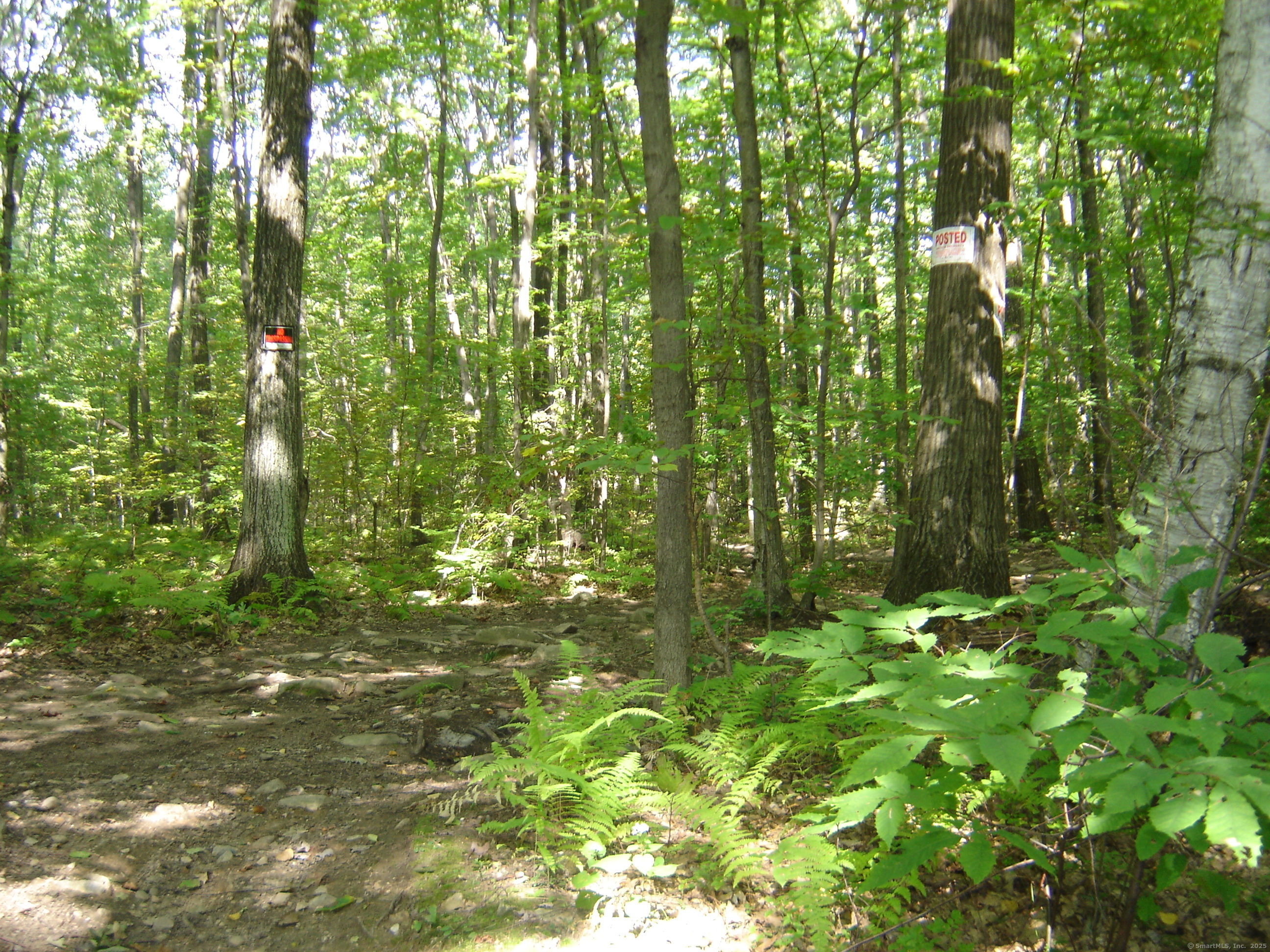 Porter Road, Ellington, Connecticut image 13