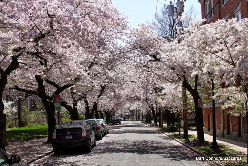 Hughes Place, New Haven, Connecticut - 2 Bedrooms  
1 Bathrooms  
4 Rooms - 
