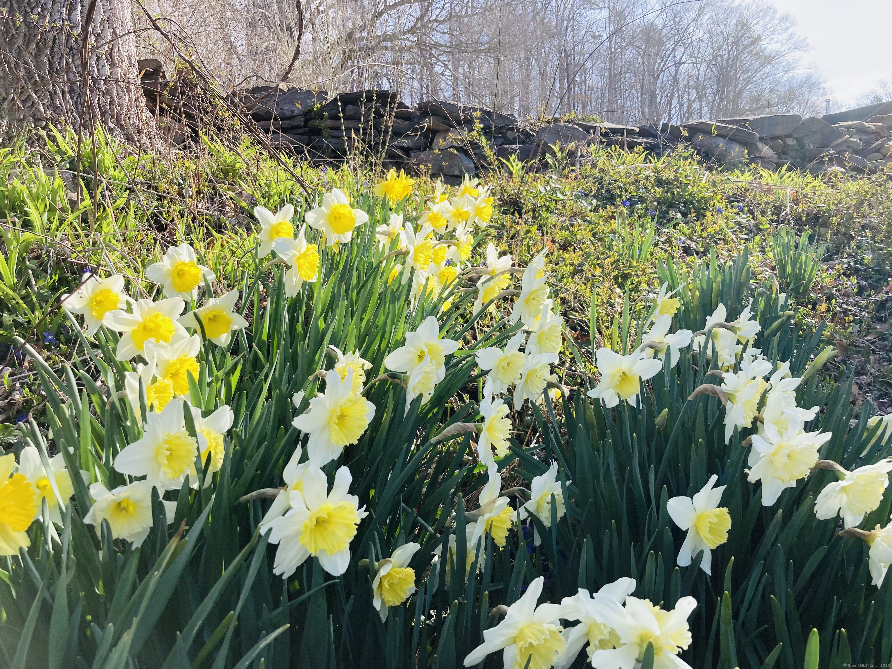 70 River Road, East Haddam, Connecticut image 30