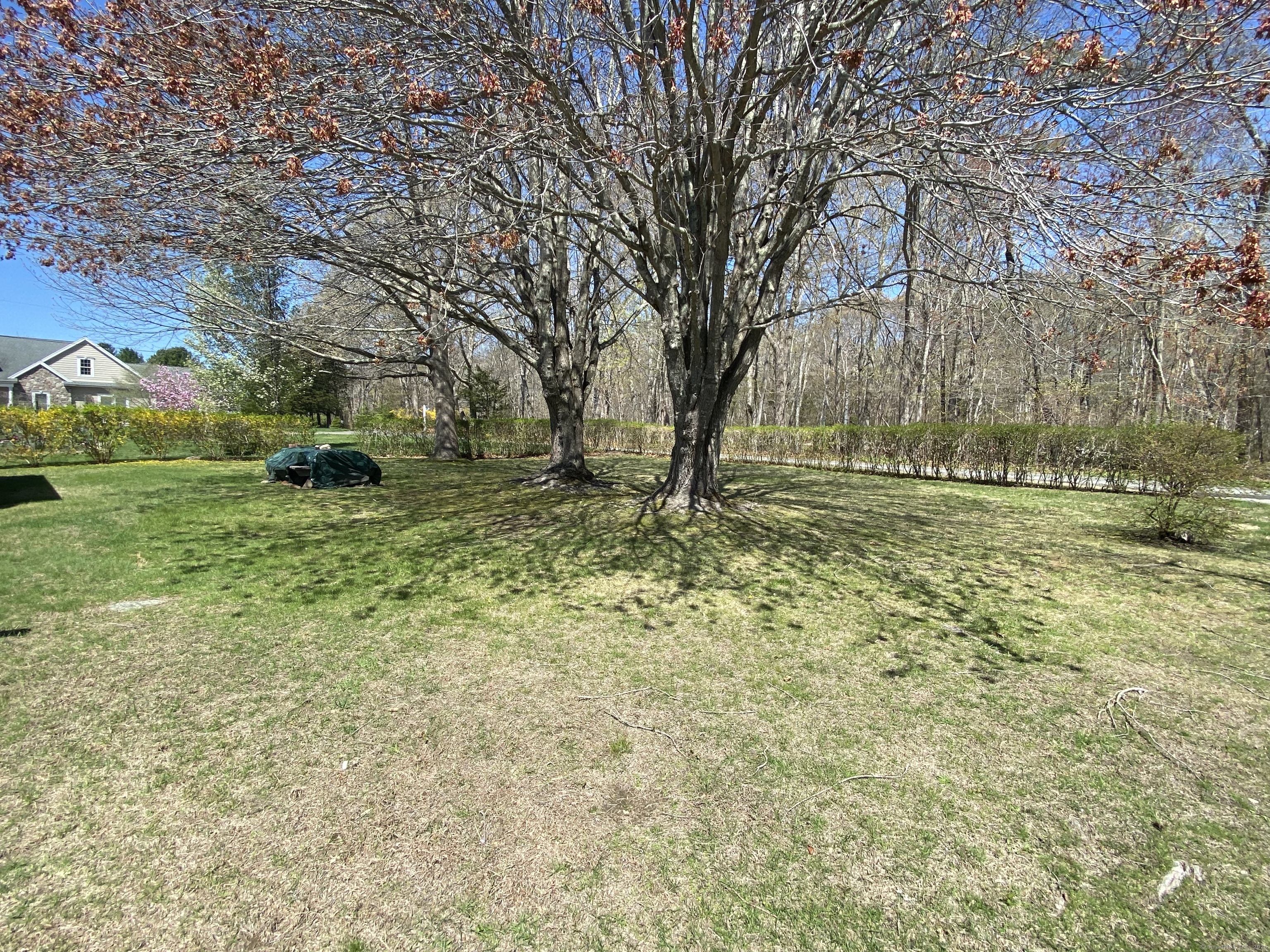 318 Billow Road, Old Lyme, Connecticut image 30