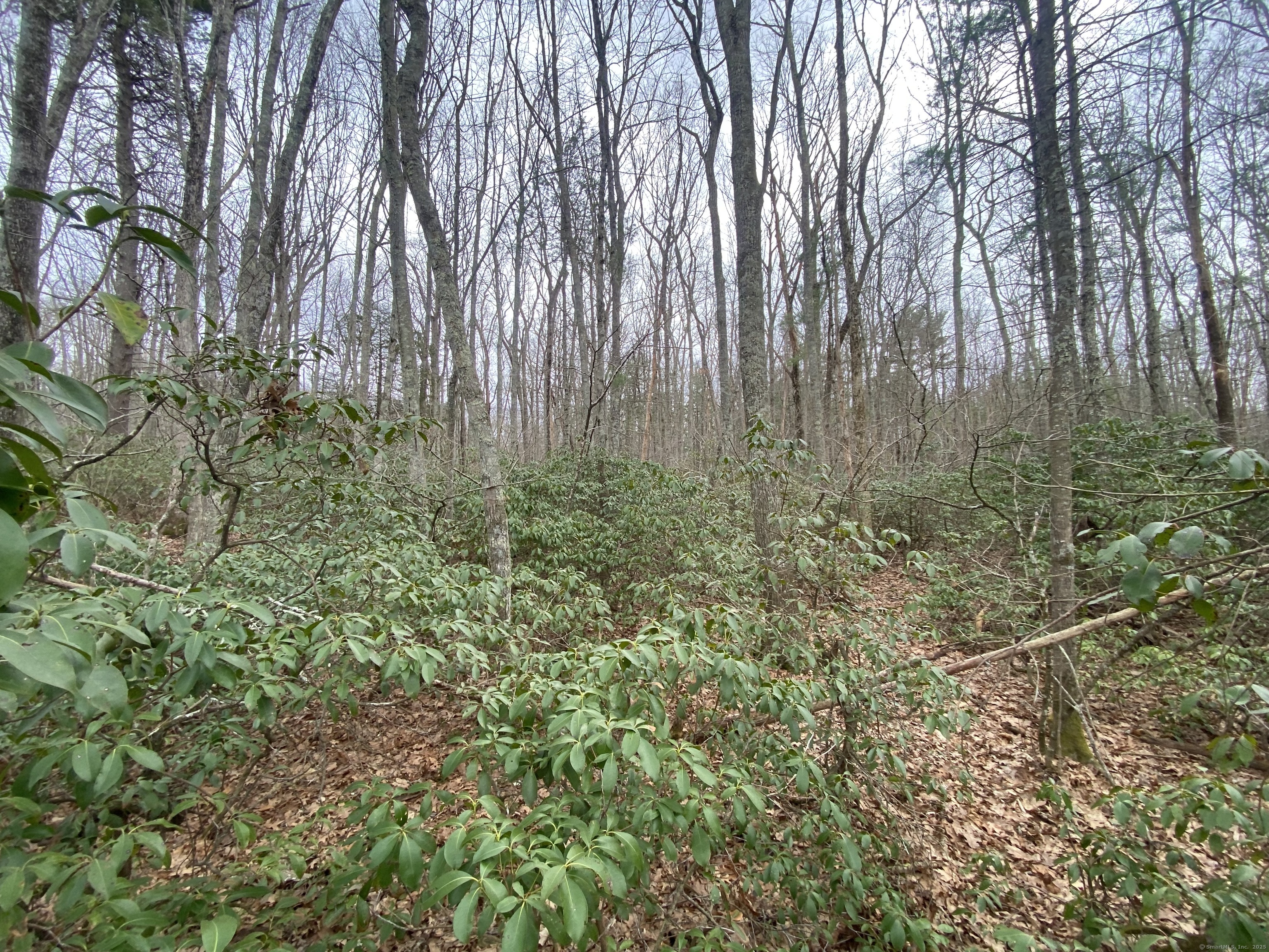 339 Coomer Hill Road