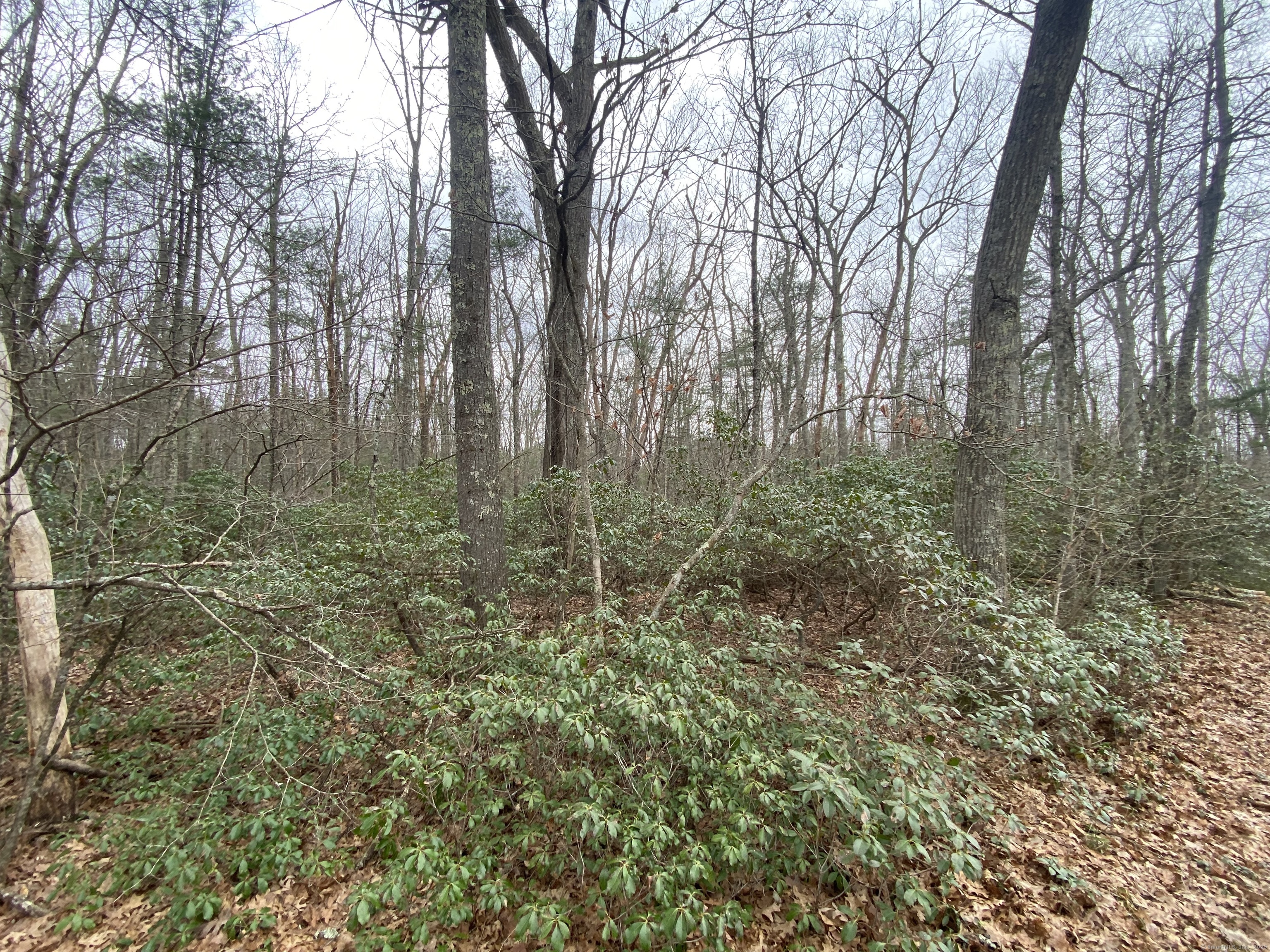 339 Coomer Hill Road