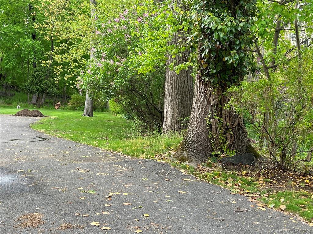 Photo 4 of 13 of 62 Blueberry Drive land