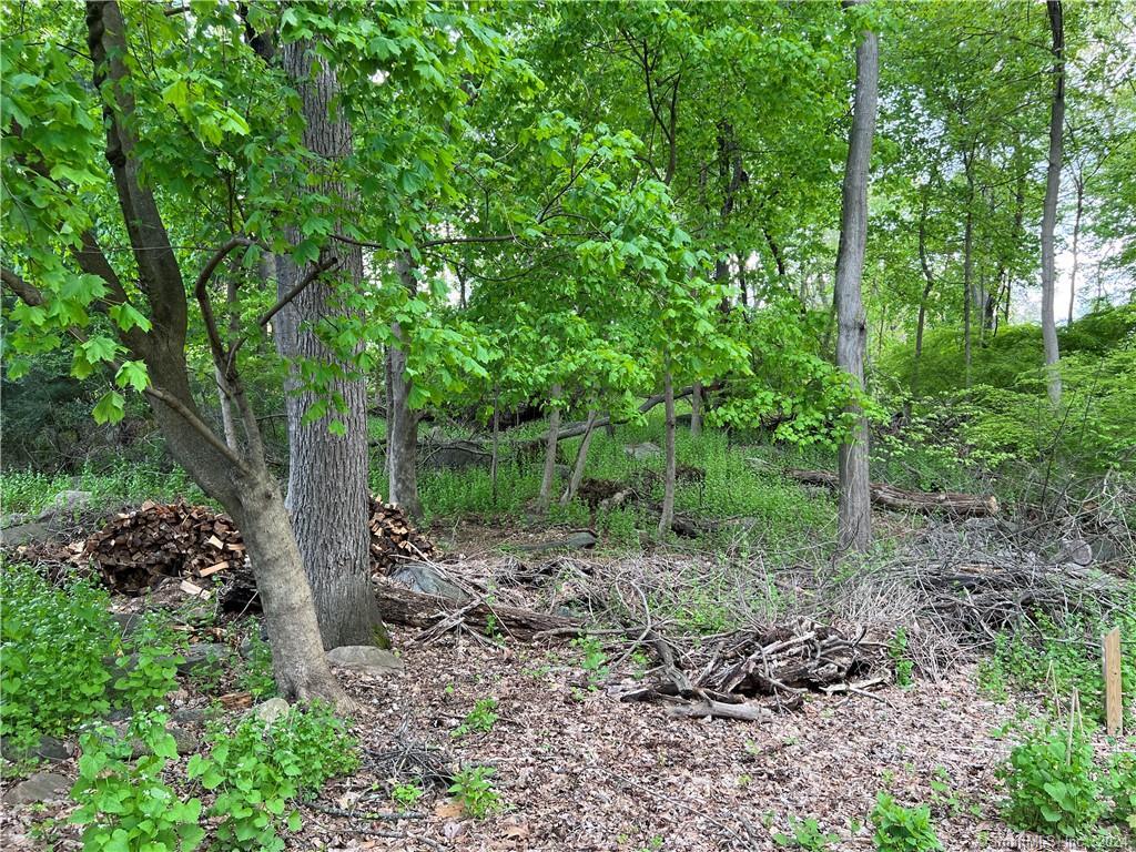 Photo 1 of 13 of 62 Blueberry Drive land