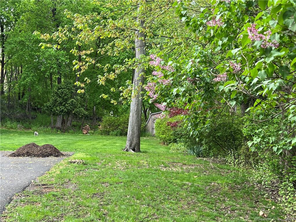 Photo 2 of 13 of 62 Blueberry Drive land